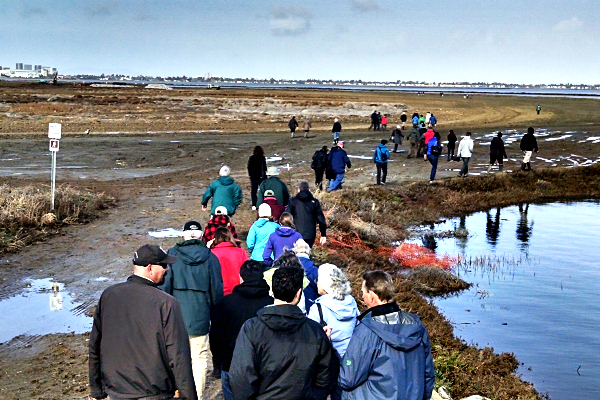 People walking to the levee breach site at Bair Island. Photo courtesy Ceal Craig. Copyright CC-BY-SA 3.0